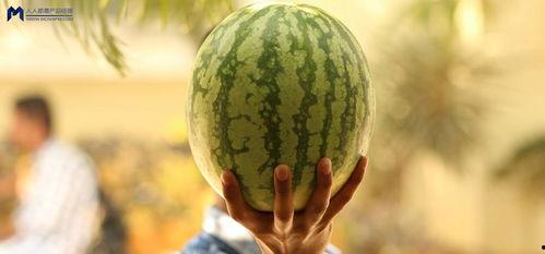 娱乐吃瓜为什么火爆,揭秘网络时代现象级话题的火爆生成