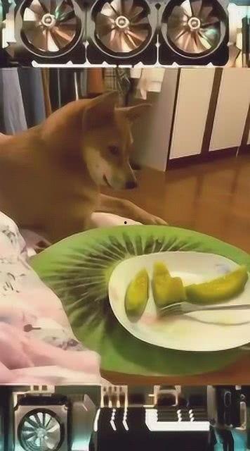 今天吃瓜视频,揭秘娱乐圈最新热点事件